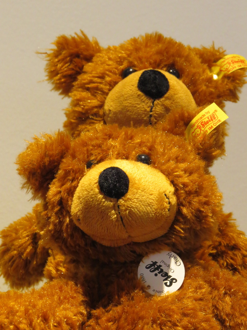 soft, toys, steiff animals, toy, purry, brown, art and craft, cute, snuggle, exhibition, children, yellow, soft toy, bear, communication, animal representation