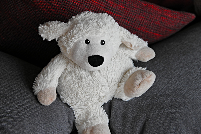 white color, textile, childhood, cuddly, animal representation, portrait, lazy, soft, figure, kashani, purry, children toys, indoors, sweet, child, representation