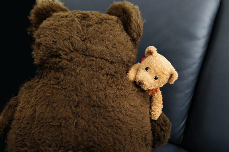 plush toys, soft toy, plush, teddy, stuffed animal, animal representation, bear, toy, domestic room, mascot, studio shot, black background, softness, friends