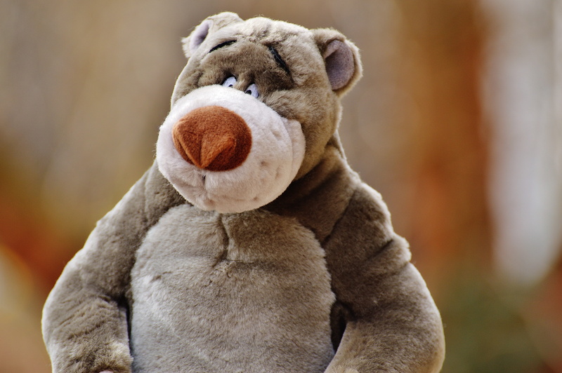 stuffed toy, purry, cute, pets, knuffig, children, bears, animal, toys, dog, domestic, sweet, looking, fur, canine, one animal, domestic animals, bear