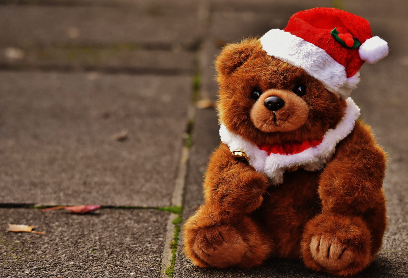 small, bear, animal, mammal, teddy, brown bear, christmas, red, representation, clause, focus on foreground, stuffed animals, santa hat, children, purry