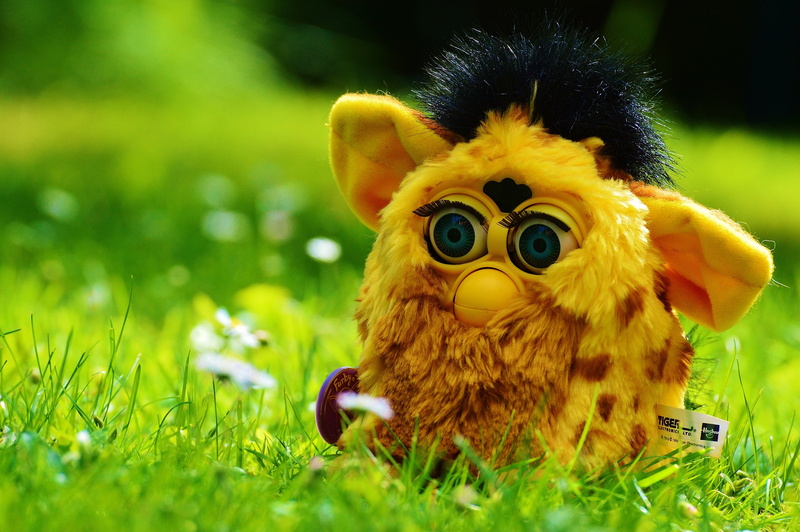 one animal, animal, furby, outdoors, grass, fun, yellow, green color, animal themes, portrait, soft toy, no people, funny, cute, nature, day, young animal