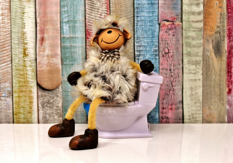 domestic, toy, digital composite, no people, flush, 5K, indoors, full length, pets, wc, canine, dog, toiler, loo, funny, domestic room, humor, purple