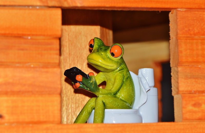 food and drink, wood - material, no people, sculpture, amphibians, Mobile Phone, art and craft, wildlife, container, bowl, amphibian, session, close-up