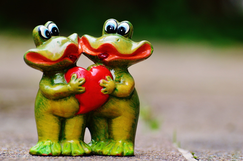 frogs, close-up, animal themes, decoration, creativity, food and drink, toy, fun, greeting card, partner, 4K, craft, ceramic, figure, funny, figurine