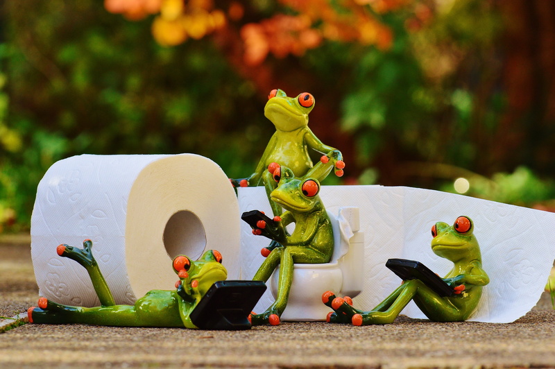 loo, paper, green color, figurine, mobile phone, roll, eyed, figurines, close-up, toilet paper, selective, frog, plant, several, beside, toy, white, cute