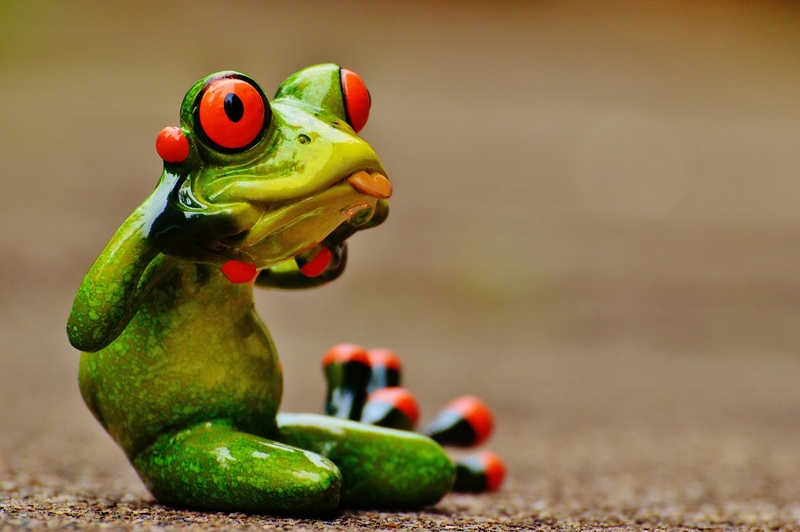 animals in the wild, decoration, cute, frog, animal, animal wildlife, stick out tongue, funny, day, animal representation, animal themes, fun, 2K, vertebrate