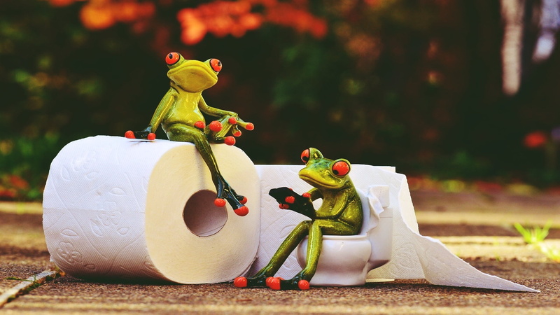 animals, rendering, style, vintage, 1080P, frog, toilet, paper