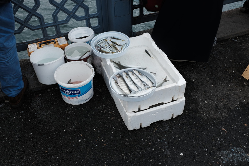 footwear, disposable, shoe, high angle view, clothing, apparel, no people, still life, furniture, chair, fish, coffee cup, day, dirt, cup, body part, dish