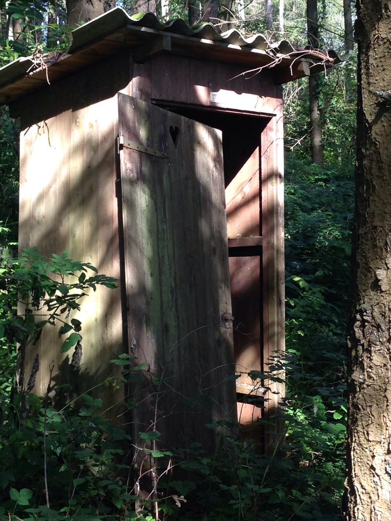 toilet, built structure, trunk, forest, old, land, outdoors, tree, plant, green color, abandoned, building exterior, architecture, wc, nature, sunlight