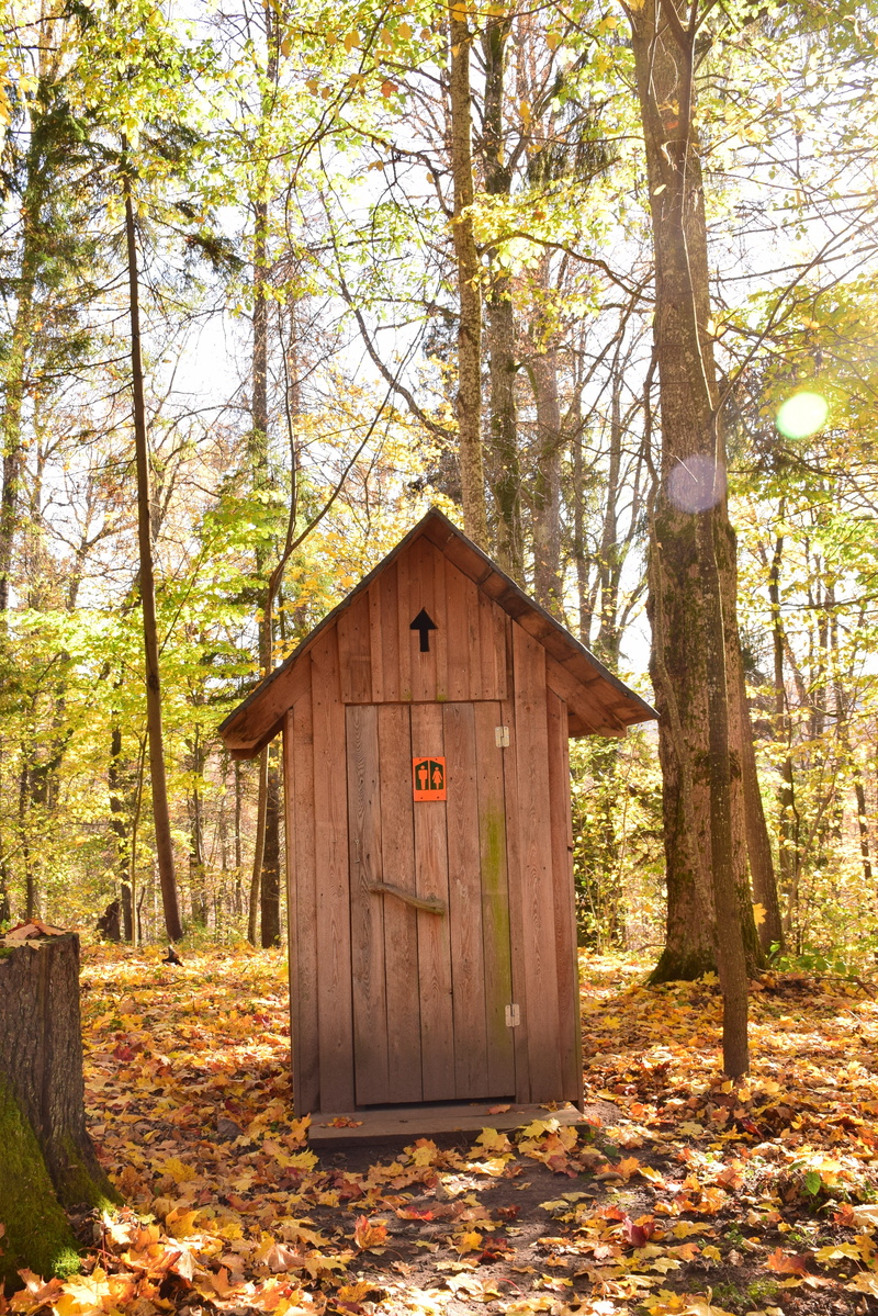 tree trunk, nature, outdoor, day, outdoors, cabin, growth, toilet, wc, no people, restroom, architecture, plant, tree, 4K, change, trunk, woodland, forest
