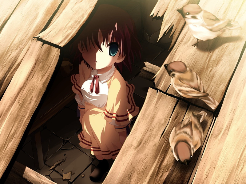 sunlight, wood, representation, high angle view, day, indoors, human representation, flooring, relaxation, 720P, nature, schoolgirl, wood - material, hardwood floor
