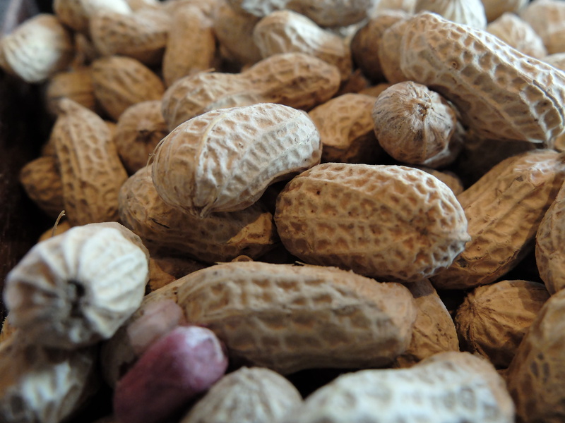 4K, food, walnut, no people, healthy eating, close-up, nutshell, wellbeing, food and drink, selective focus, nut - food, and liu, freshness, textured
