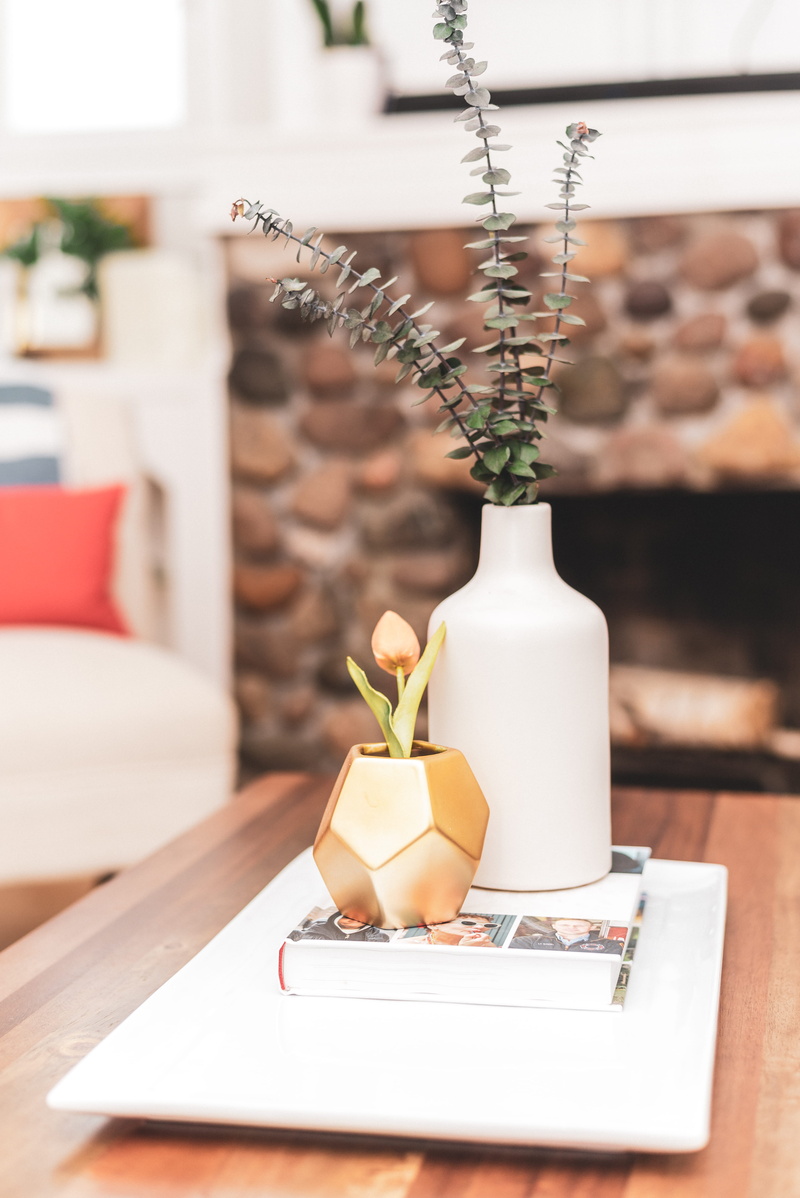 tabletop, indoors, nature, home decor, focus on foreground, living room, flowering plant, 5K, ornament, white, wood - material, close-up, blossom, plant