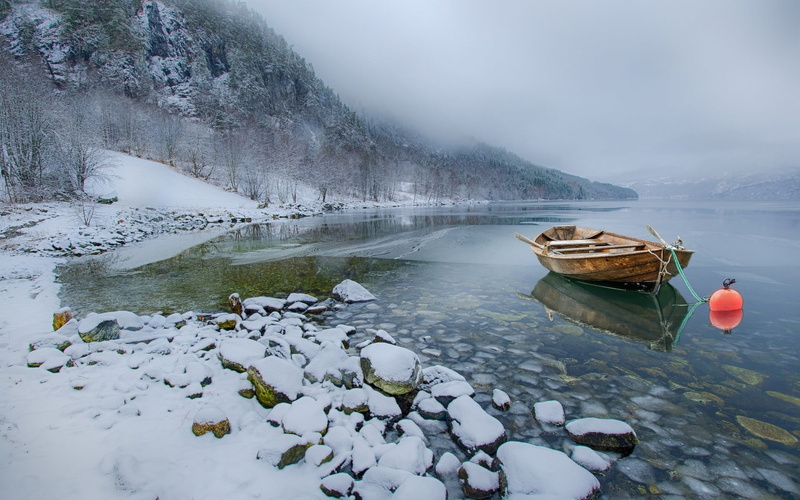 tranquility, mountain, plant, 1080P, lake, mountains, beauty in nature, landscape, calm, scenics - nature, day, non-urban scene, floating on water, Photoshop