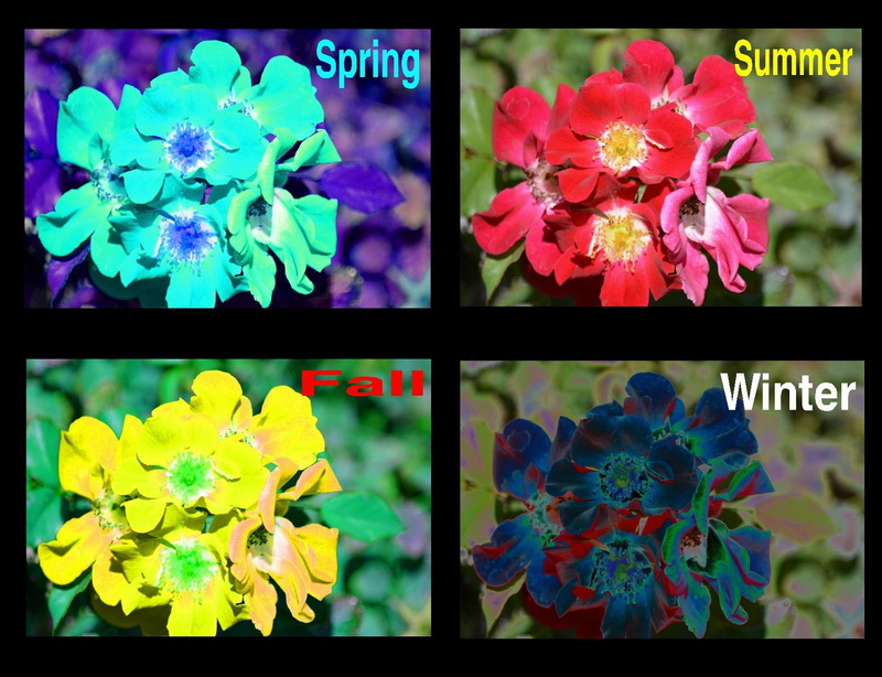 fall, summer, spring, four, seasons, 720P, winter