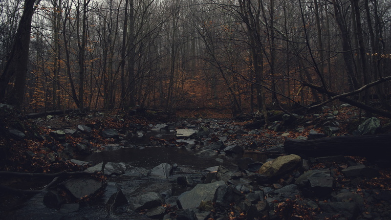 water, fall, gloomy, dark, 4K, forest