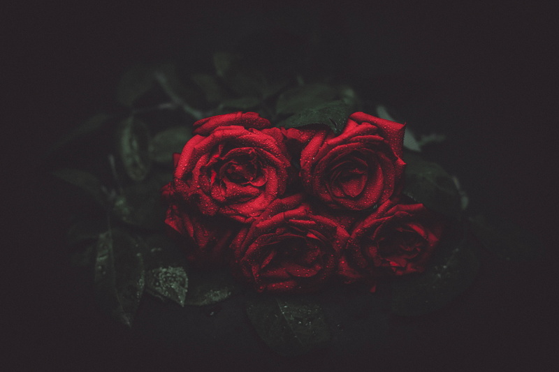 gloomy, flowers, 5K, roses, night, bouquet, romance, dark