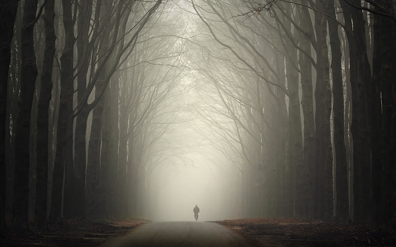 road, in-line, mist, bicycle, fall, dirt road, gloomy, 1080P