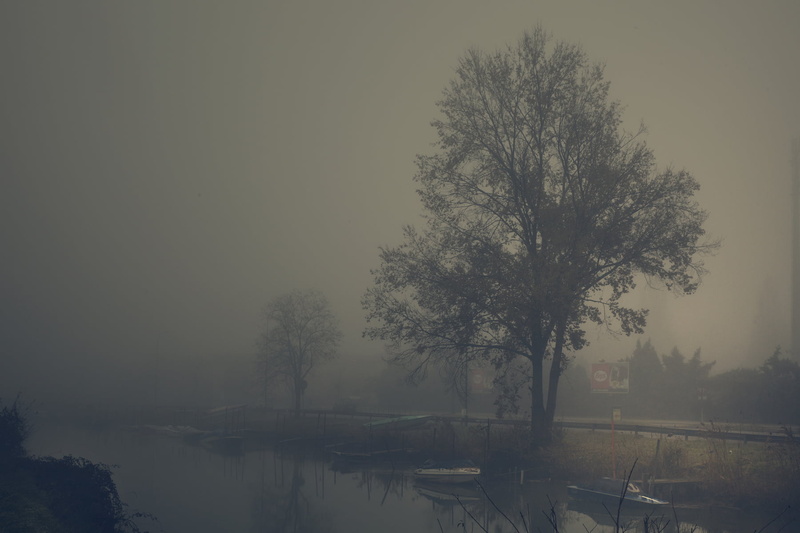 nature, trees, tranquil scene, no people, tree, tranquility, water, outdoors, scenics - nature, non-urban scene, boat, gray, hazy, beauty in nature, 720P