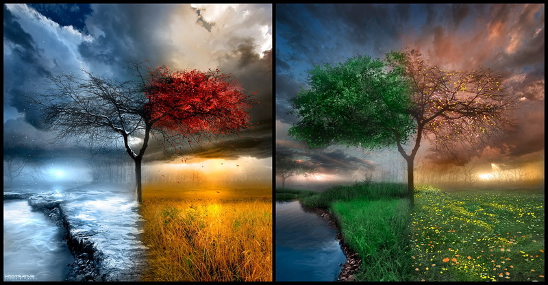 Four Seasons, tranquility, no people, beauty in nature, seasons, growth, 720P, transfer print, clouds, lake, outdoors, cloud - sky, plant, water, scenics - nature