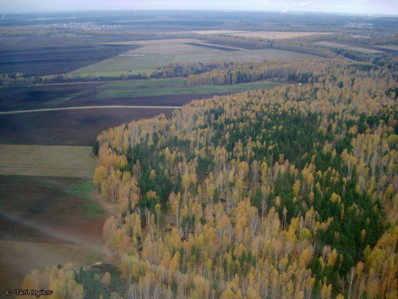 tranquil scene, scenics - nature, tranquility, 1080P, aerial view, yekaterinburg, kolcovo, russia, rossiya, tree, beauty in nature, koltsovo, water, land