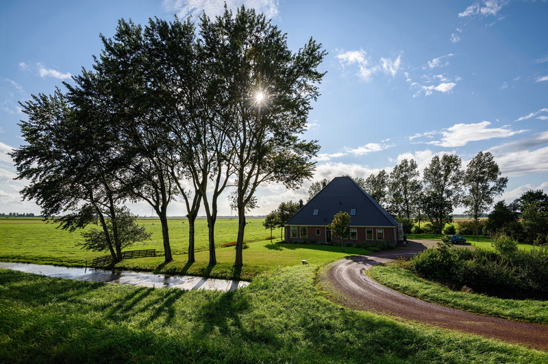 outdoors, land, plant, green color, cottage, building exterior, green, landscape, sky, 4K, built structure, road, photo, Ekaterinburg, Russia, trees, scenics - nature