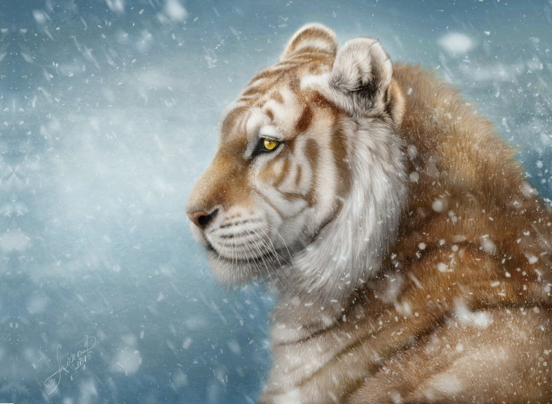 snow, Alena Ekaterinburg, art, winter, 1080P, tiger