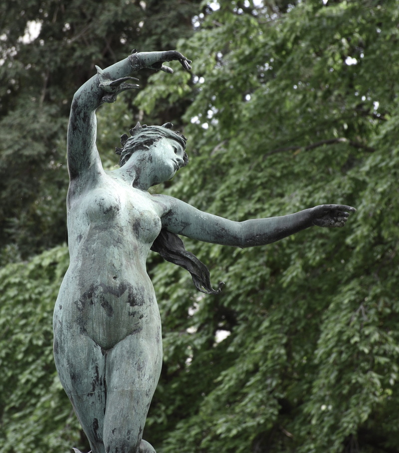 provence, marble, plant, monkey, palais des papes, tree, garden, park, day, greenery, one animal, france, vertebrate, focus on foreground, artwork, bird