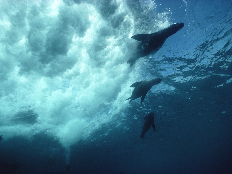 islands, breaking, 720P, ecuador, sea, galapagos