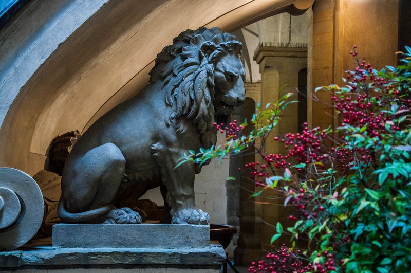 ornate, beside, green, leo, art and craft, architecture, creativity, statue, lion, flower, decoration, no people, human representation, europe, day, 4K