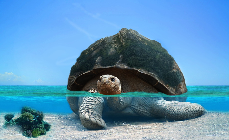 sea, 2K, sunlight, ocean, underwater, blue, beauty in nature, horizon over water, turtle, swimming, animal, nature, water, turquoise colored, reptile