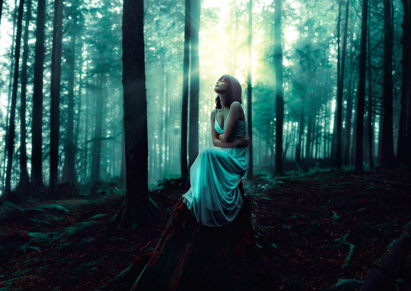 hairstyle, nature, fashion, women, 1080P, tranquility, full length, standing, outdoors, mystery, tree stump, land, women outdoors, white dress, plant