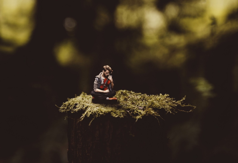 people, focus on foreground, land, men, outdoors, adult, photo manipulation, growth, 1080P, tree stump, macro, guys, bark, nature, forest, bokeh, day