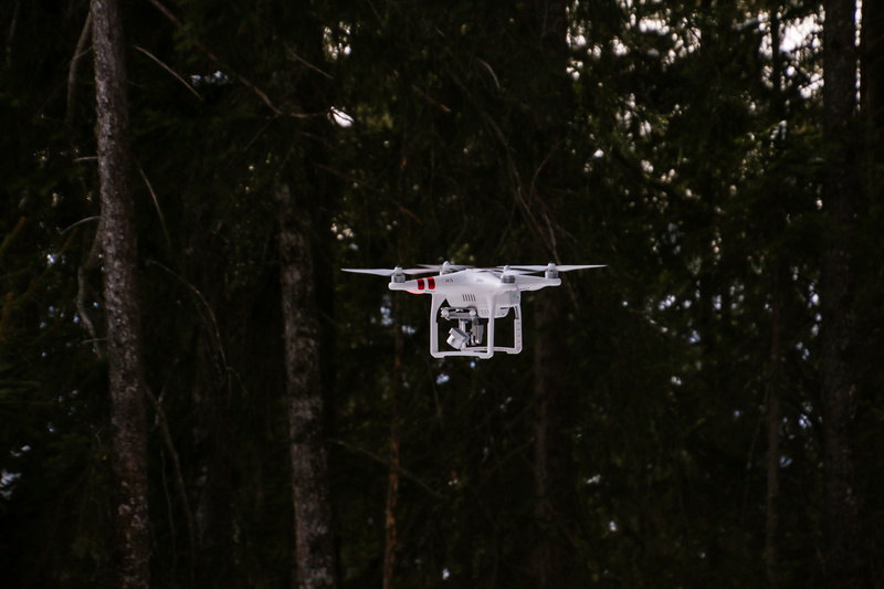 tree, no people, nature, aerial view, forest, white, mode of transportation, branch, transportation, low angle view, drone, near, plant, tree trunk, close-up