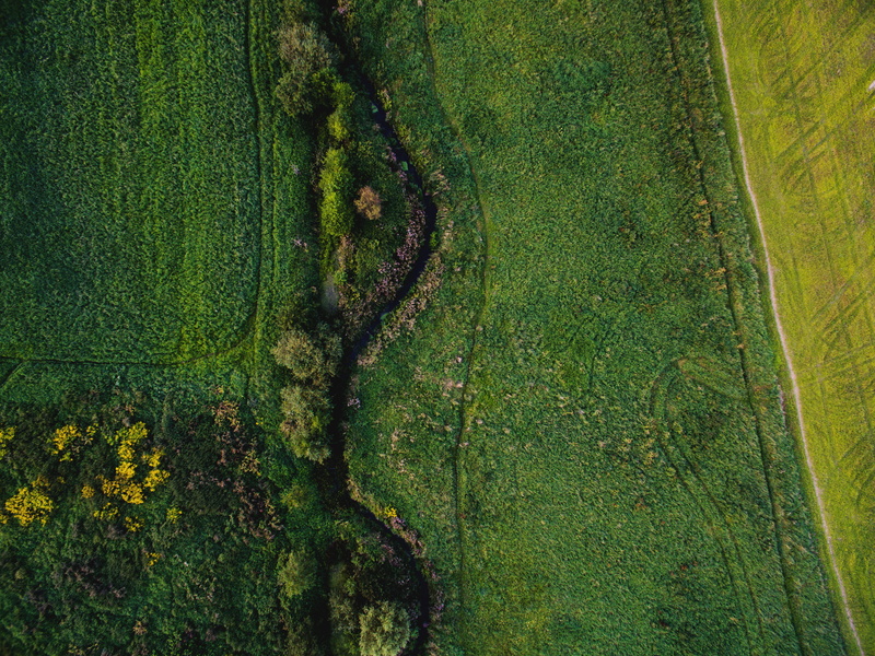 plant, dji, field, environment, high angle view, aerial view, nature, land, green color, directly above, day, tranquility, growth, neuenhagen bei berlin