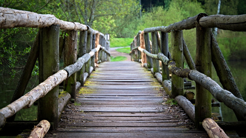 wooden, pond  spring, nature, fish  pond, footpath, 1080P, bridge, boardwalk, forest, wooden  bridge, river, fish pond, canon  eos  1100d, calm, bridge - Man Made Structure