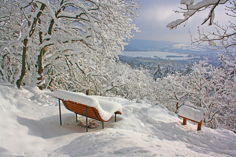 bench, mountain, landscape, near, forest, cold temperature, snowy, frost, wintry, no people, covered, new zealand, plant, environment, day, frozen, winters day