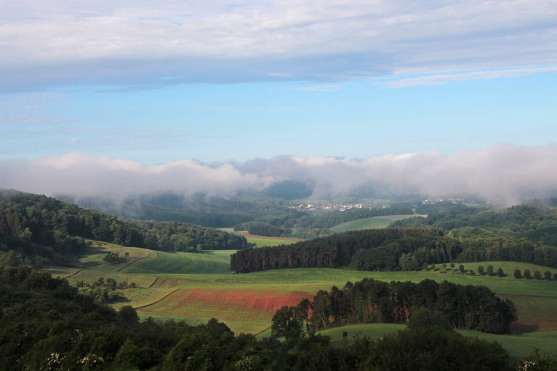 land, day, fields, idyllic, landscape, green color, field, fog, outdoors, mysterious, skies, tranquil scene, morgenstimmung, vision, view, beauty in nature