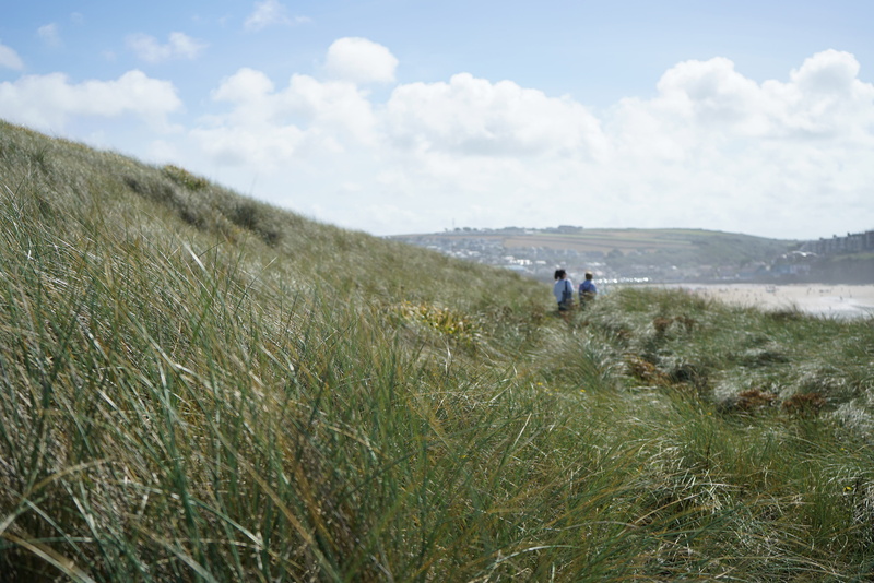 men, non-urban scene, fresh, perranporth, plant, two people, meadow, scenics - nature, sand, leisure activity, united kingdom, tranquility, grass, wander