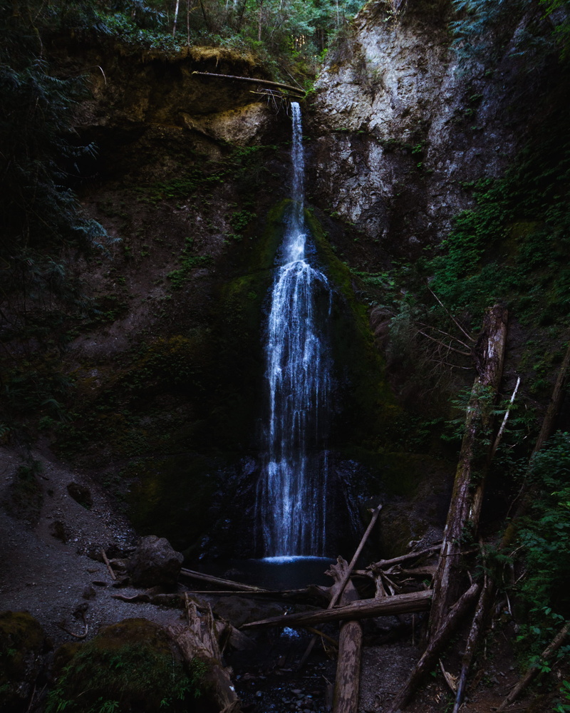 tree, non-urban scene, waterfall, port angeles, falling water, 2K, no people, outdoors, nature, plant, long exposure, land, blurred motion, rock, flowing water
