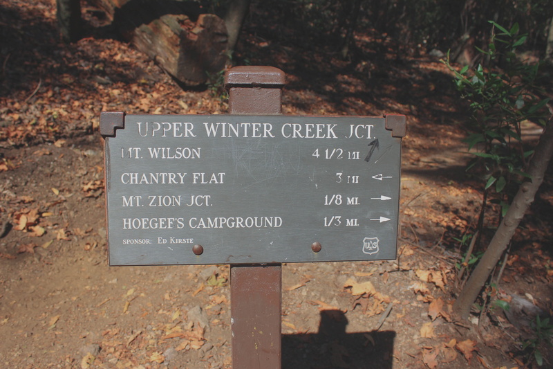 communication, united states, board, day, guidance, information sign, forest, text, no people, nature, western script, field, information, 5K, autumn