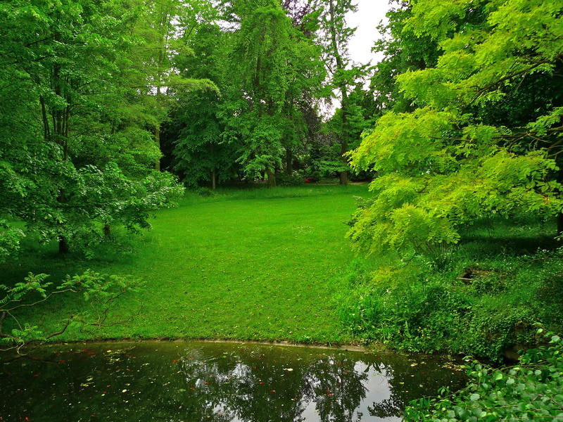 green, kahn, France, japanese, tree, 2K, pond, park, grass, lawn, albert, leaf, trees, gardens, Albert-Kahn Japanese gardens, greens