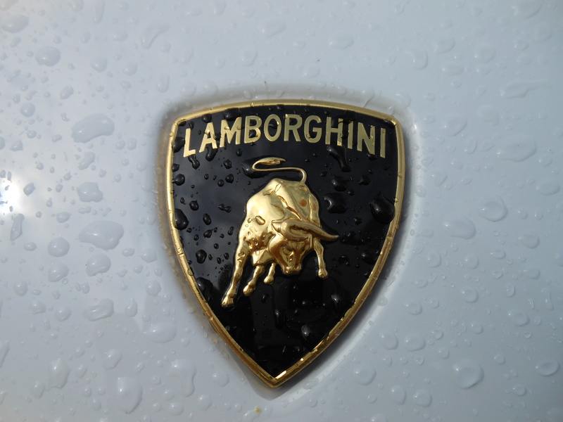 wet, water, representation, luxury, backgrounds, close, stylish, still life, gold colored, drop, number, lamborghini, logo, coupe, emblem, western script