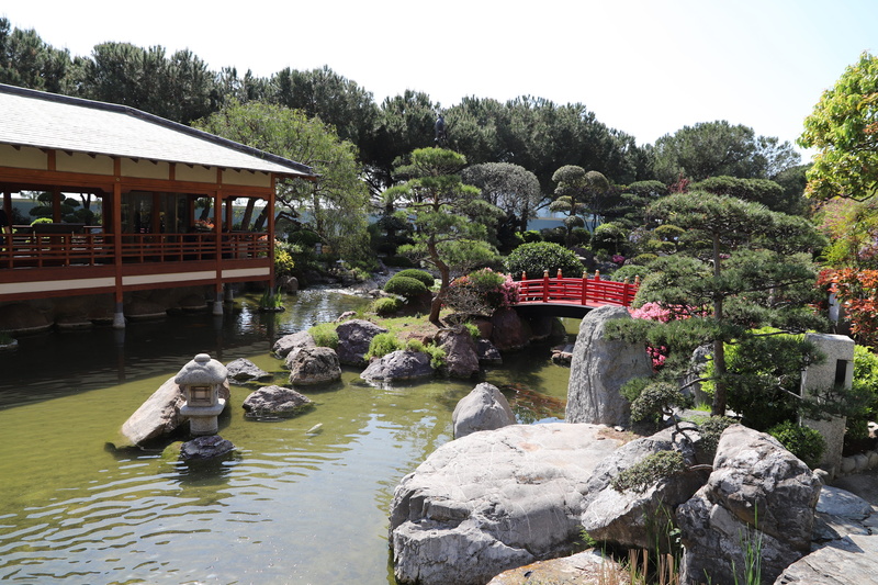 architecture, chlorophyll, cannes, tourism, the french riviera, france, traditional, japanese garden, day, all, flowers, outdoors, beautiful, growth, nature