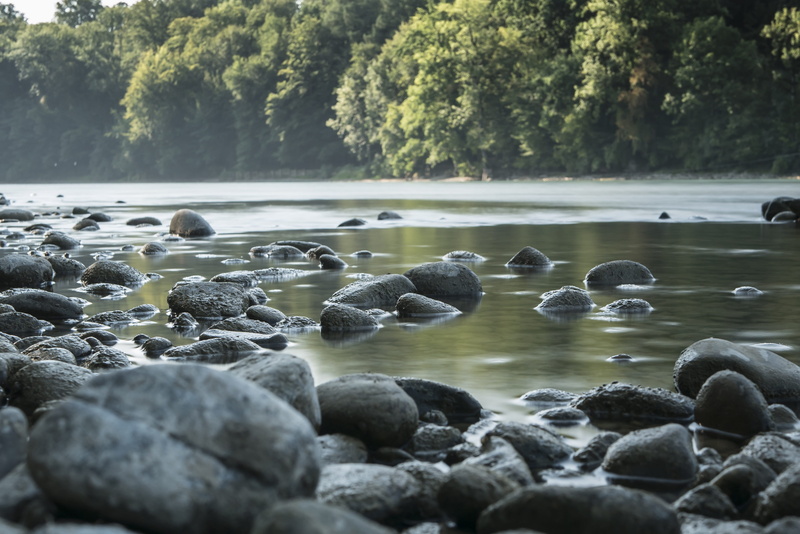 mood, water, nature, pebble, rock - object, mysthisch, 4K, outdoors, nierdrig water, animal wildlife, plant, lake, surface level, day, no people, aare