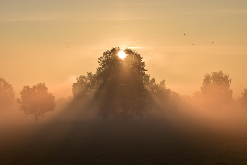 dawn, red, sunlight, scenics - nature, beautiful, romantic, morgenrot, environment, landscape, scenics, 5K, no people, sun, golden, tranquility, idyllic