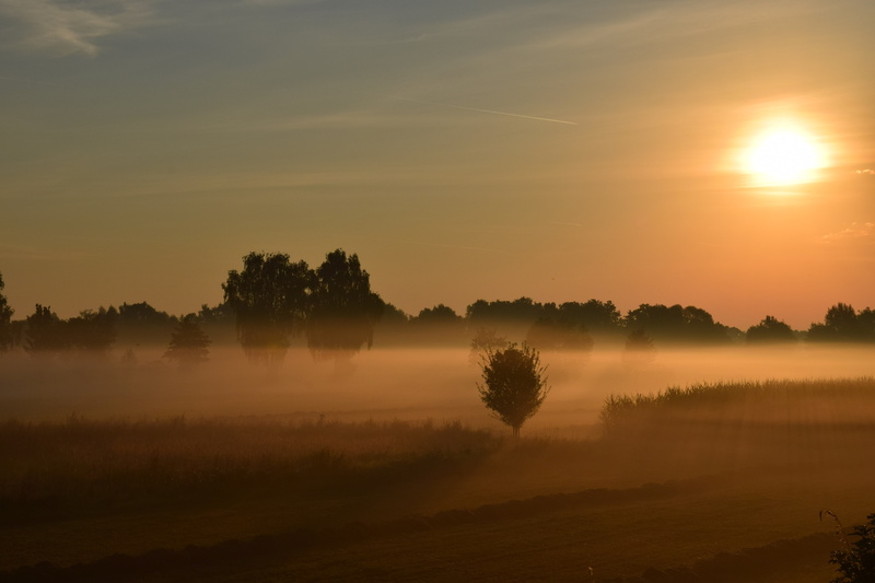 silhouette, sun, rural Scene, sky, scenics, mood, beauty in nature, sunset, tree, orange color, water, non-urban scene, day, mysthisch, land, idyllic, scenics - nature