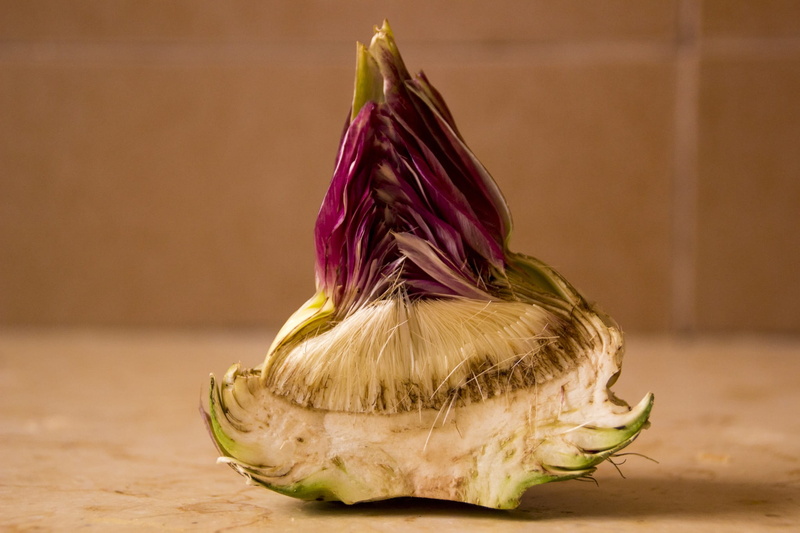 full length, healthy eating, offspring, day, people, studio shot, wellbeing, hair, 1080P, Artichoke, childhood, yellow, hairstyle, fun, food, close-up