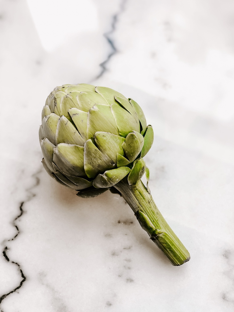 food and drink, organic, indoors, green, 4K, green color, still life, vegetarian food, copy space, white color, freshness, food, close-up, studio shot